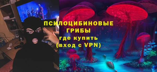 2c-b Белокуриха