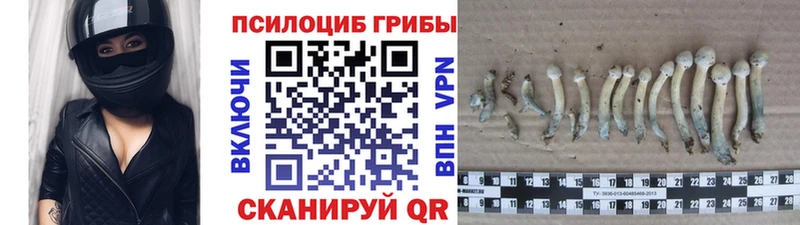 цена   Волгореченск  OMG зеркало  Галлюциногенные грибы Magic Shrooms 